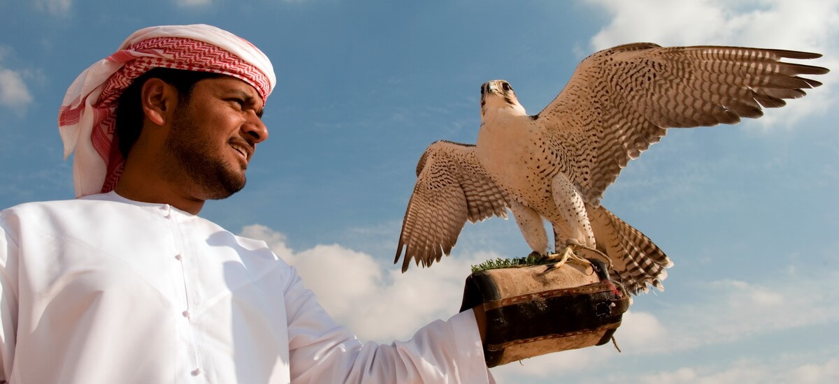 In den Emiraten gelten Falken als Lieblinge der Scheichs und sind auch auf dem Emblem der Vereinigten Arabischen Emirate zu finden.