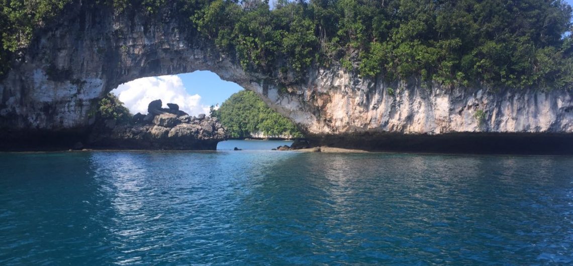 Blick auf eine Bucht in Palau, das Wasser ist kristallklar.