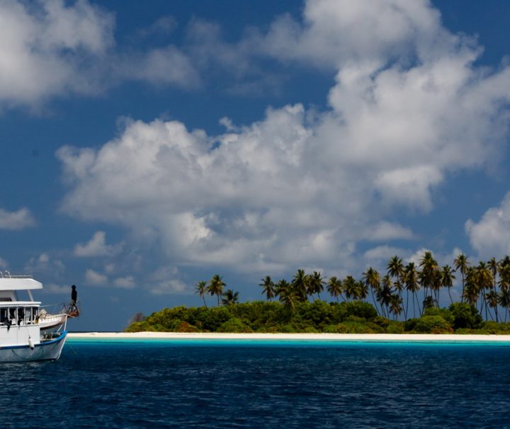 Während einer Tauchsafari auf den Malediven passiert die MY Sheena zahlreiche Trauminseln im Indischen Ozean.