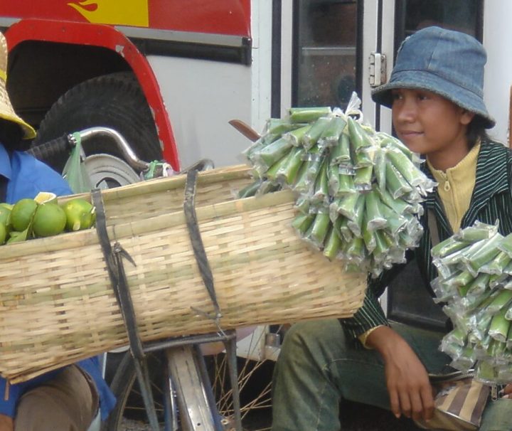 Zwei Frauen verkaufen auf einem Markt in Battambang frisches Obst und Gemüse.