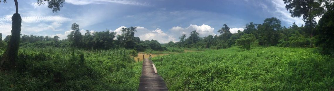 Naturpanorama im Kutai Nationalpark in Kalimantan