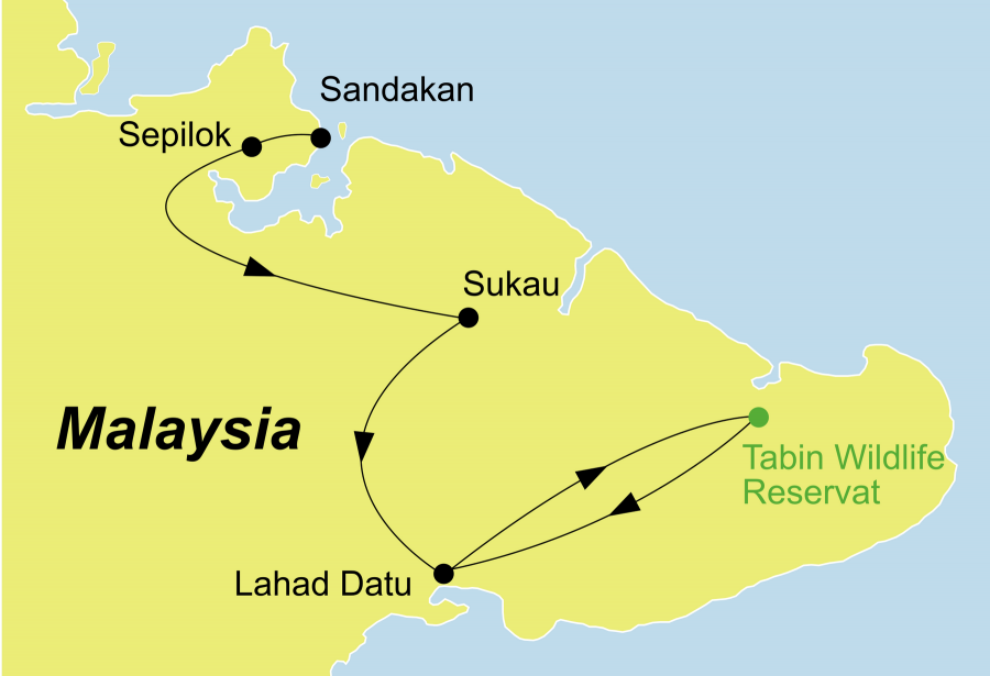 Die Borneo Rundreise führt von Sandakan über das Sepilok Orang Utan Rehabilitationszentrum, die Abai Jungle Lodge, Sukau, die Kinabatangan Riverside Lodge und das Tabin Wildlife Reservat nach Lahad Datu.