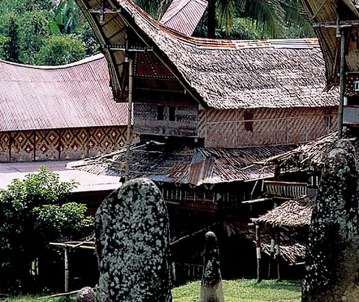 Die traditionellen Ahnenhäuser der Toraja mit ihrer markanten Architektur werden Tongkonan genannt.