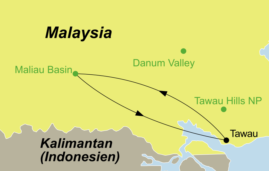 Die Borneo Rundreise führt von Tawau, das Maliau Basin, das Agathis Camp, das Nepenthes Camp und das Ginseng Camp wieder zürück nach Tawau.
