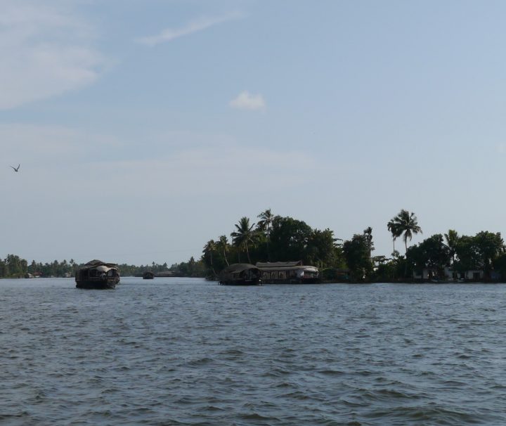 MIt dem Hausboot Südindien auf den Backwaters
