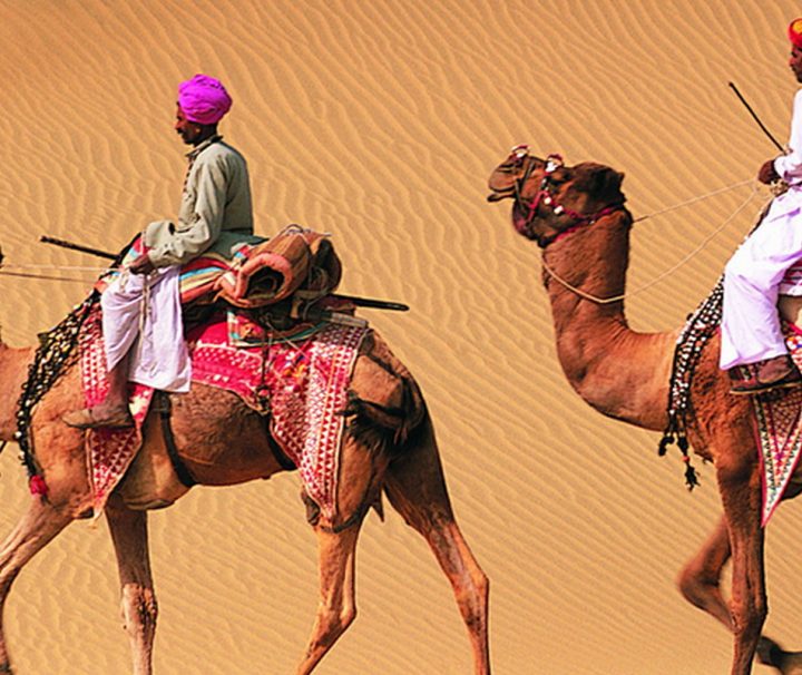 In den Wüstengebieten im nordindischen Bundesstaat Rajasthan sind Kamele nach wie vor wichtige Nutztiere und Fortbewegungsmittel.