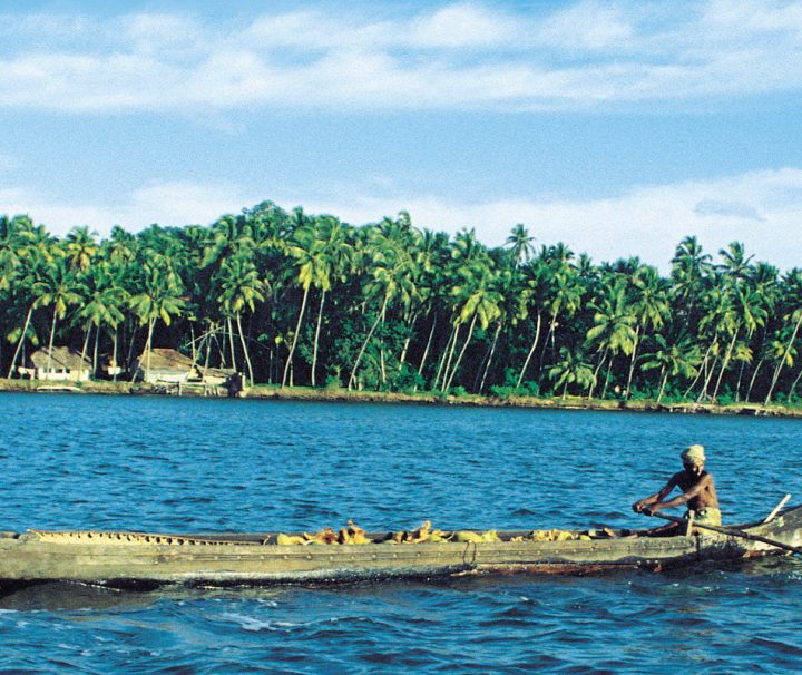 Das Lagunensystem der Backwaters in Kerala in Indien umfasst eine Fläche von 3200 Quadratkilometern.