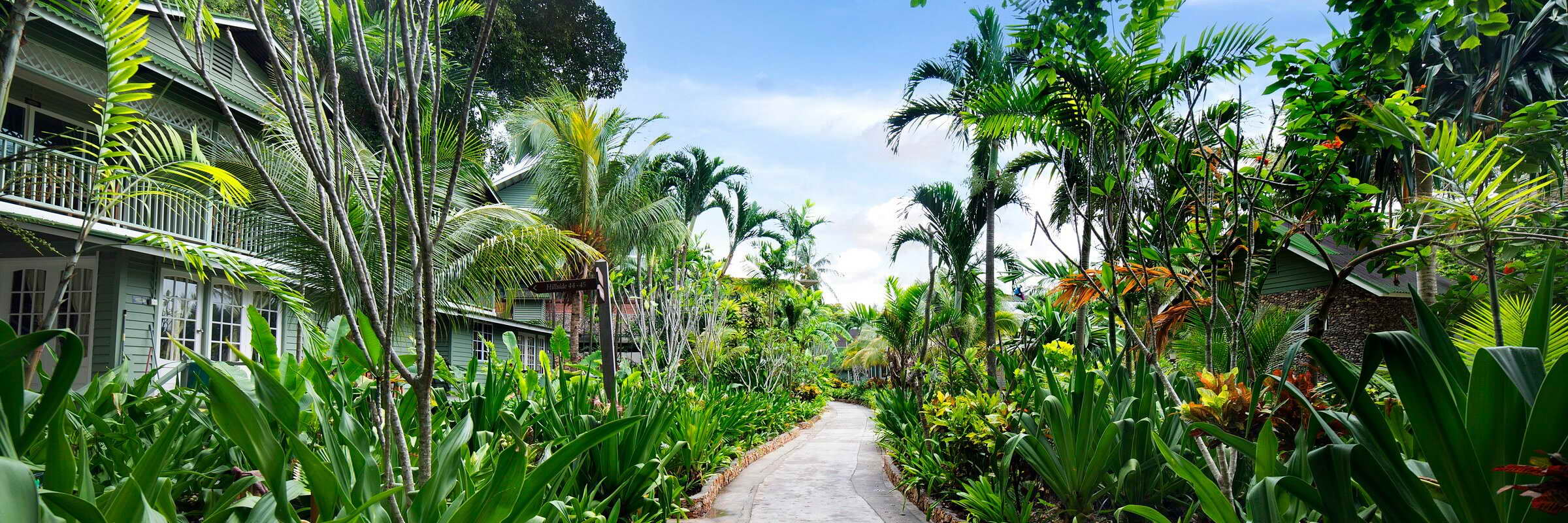 Die gemütlichen Bungalows im Rawa Island Resort fügen sich harmonisch in die Dschungelumgebung der Insel ein.