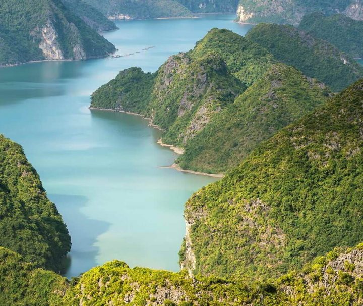 Die Halong Bucht im Golf von Tonkin in Vietnam zählt zu den schönsten Landschaften Vietnams und ist seit 1994 UNESCO Weltnaturerbe.