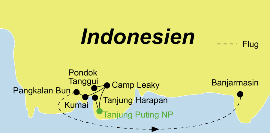 Die Kalimantan Rundreise führt von Pangkalan Bun über Kumai, den Tanjung Puting Nationalpark und Pangkalan Bun nach Banjarmasin.