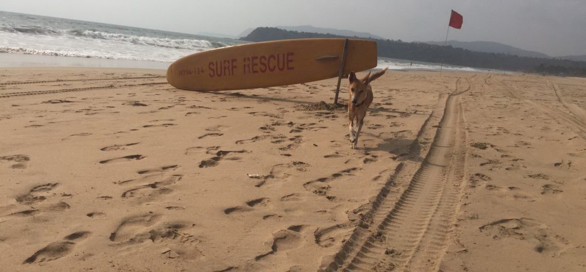 Surfenstrand in Goa mit professioneller Surf Rescue