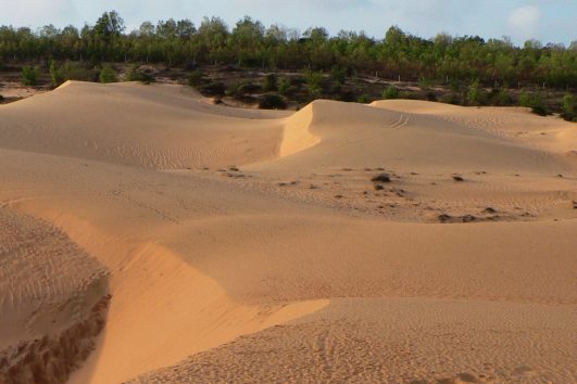 Das kleine, auf einer Halbinsel gelegene, Fischerdorf Mui Ne ist neben seinem Traumstrand vor allem für die Sanddünen in seiner Umgebung bekannt.