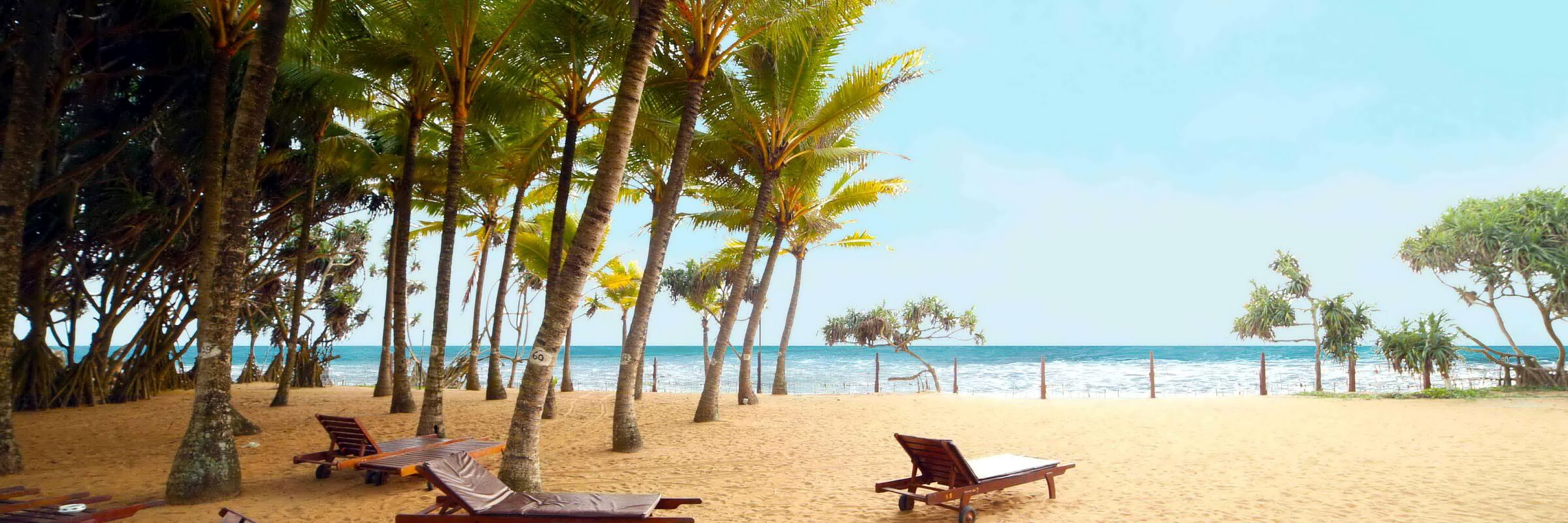 Der weitläufige Strand am Siddhalepa Ayurveda Health Resort Sri Lanka läd zum Entspannen ein