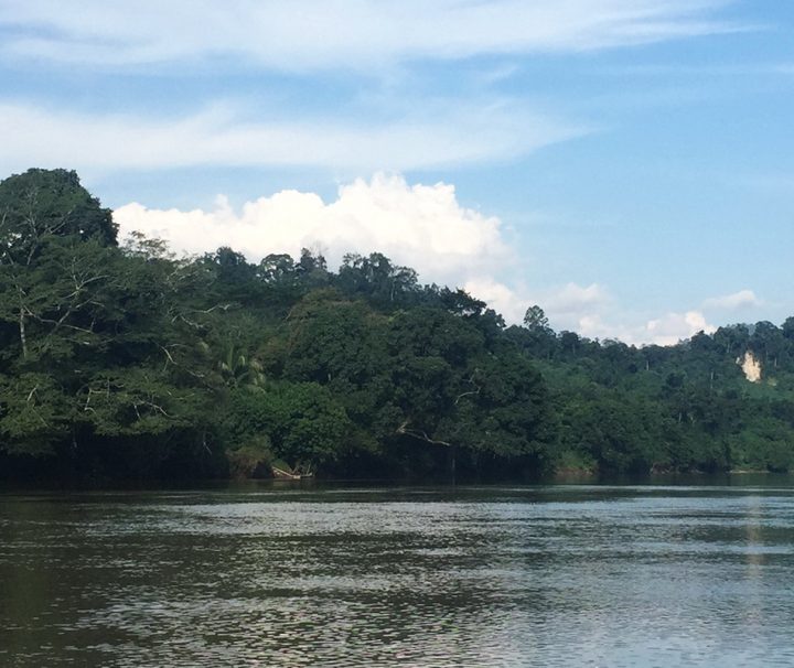Über die Flüsse, die in Kalimantan die Straßen ersetzen, kann man tief in den Dschungel vordringen.