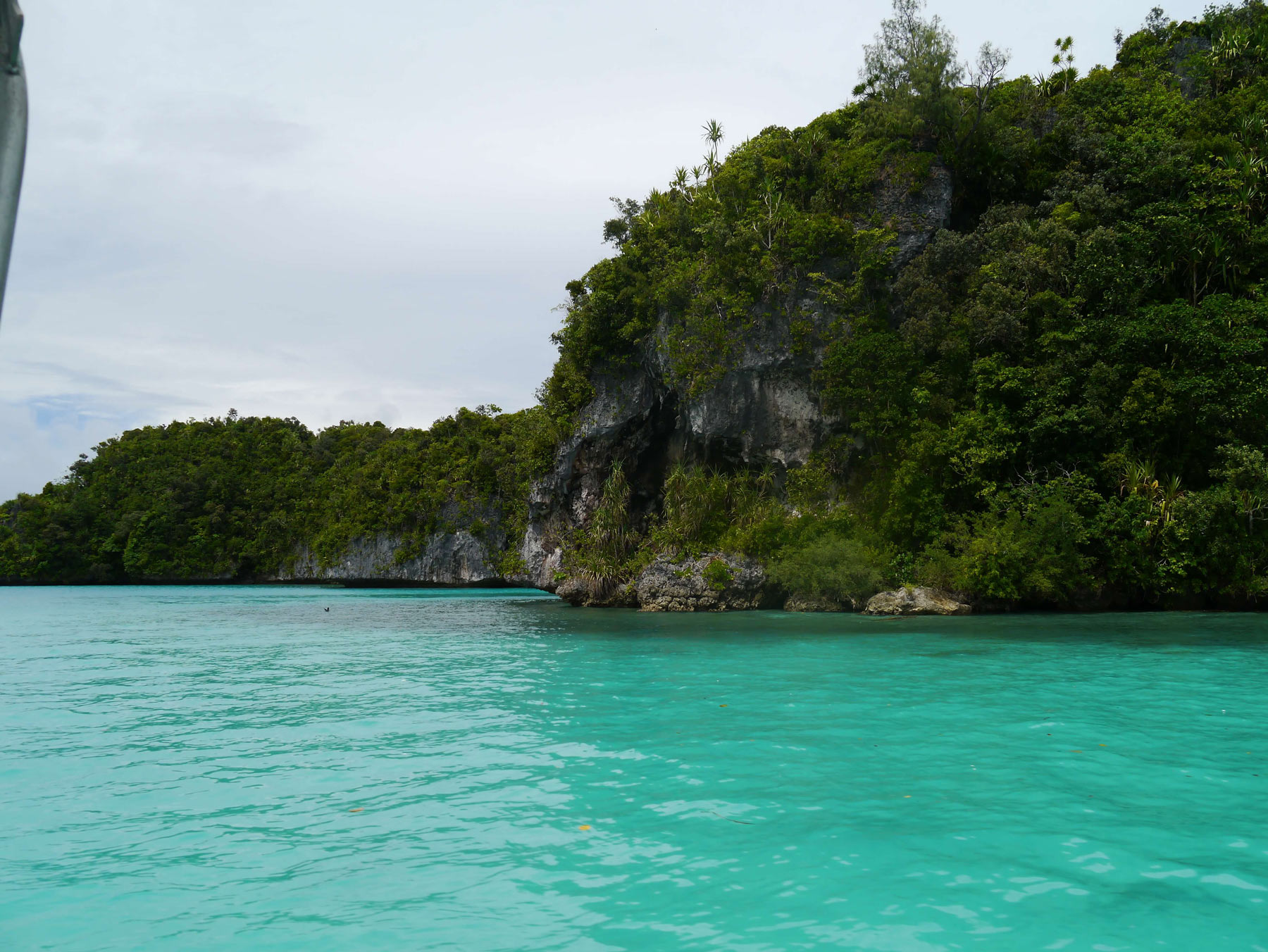 Das kristallklare, türkisfarbene Wasser im Inselparadies Palau eignet sich perfekt zum Tauchen.