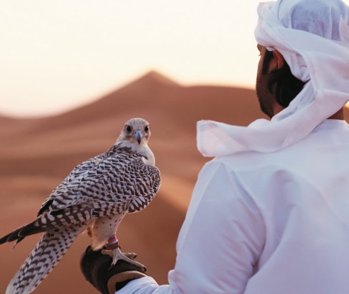 In den Emiraten gelten die Falken als die gefiederten Lieblinge der Scheichs und sind auch auf dem Wappen der Vereinigten Arabischen Emirate  zu finden.