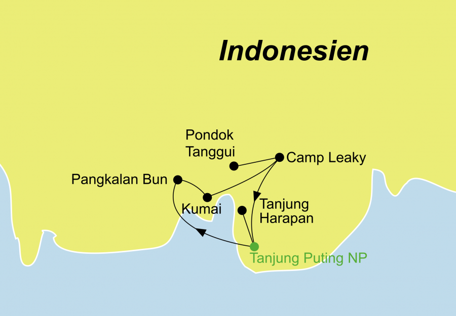 Die Tanjung Puting Nationalpark Rundreise führt Sie zu den Orang Utans auf Kalimantan