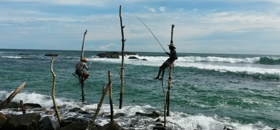 Sri Lanka Urlaub: Eins der bekannstesten Bilder von Sri Lankas Küste - die Stelzenfischer.